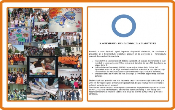 2011-afis-14-noiembrie