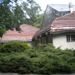 dscn5135