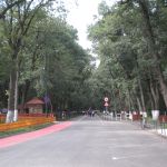 dscn5157