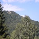 dscn5949