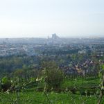 dsc00266