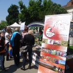 ASCOTID - Targul ONG 2016 (28)