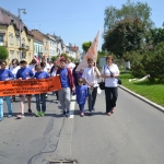 ASCOTID - Targul ONG 2016 (6)