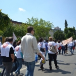ASCOTID - Targul ONG 2016 (8)