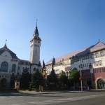 1.DSC07895