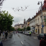 www.ascotid.ro - targul ONG ed xv 2017 (24)