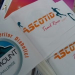 www.ascotid.ro - targul ONG ed xv 2017 (25)