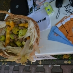 www.ascotid.ro - ASCOTID - Trail Race 2017 (105)