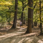 www.ascotid.ro - ASCOTID - Trail Race 2017 (33)