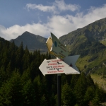www.ascotid.ro - DIA Mount 2017 (20)