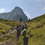 www.ascotid.ro - DIA Mount 2017 (35)