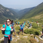 www.ascotid.ro - DIA Mount 2017 (5)