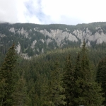 www.ascotid.ro - DIA MOUNT CHALLENGE 2018 - PIATRA CRAIULUI - (3)