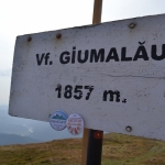 ascotid.ro - DIA Mount Raraul 2018 - (14)