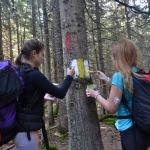 ascotid.ro - DIA Mount Raraul 2018 - (17)