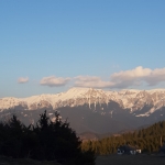 ASCOTID.ro - Workshop Digital (2)