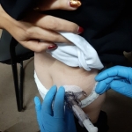 ascotid.ro - Subventie Consiliul Judetean Mures - (12)